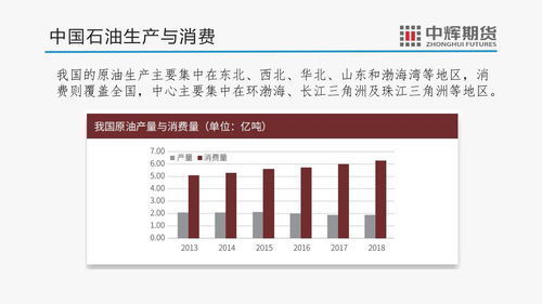 一码一肖100准确使用方法 精选解析与落实策略版