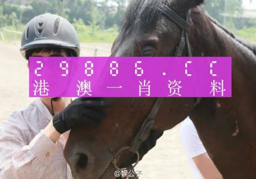 澳门今晚必中一肖一码查询全面释义、解释与落实-艺界 -20.15.001版